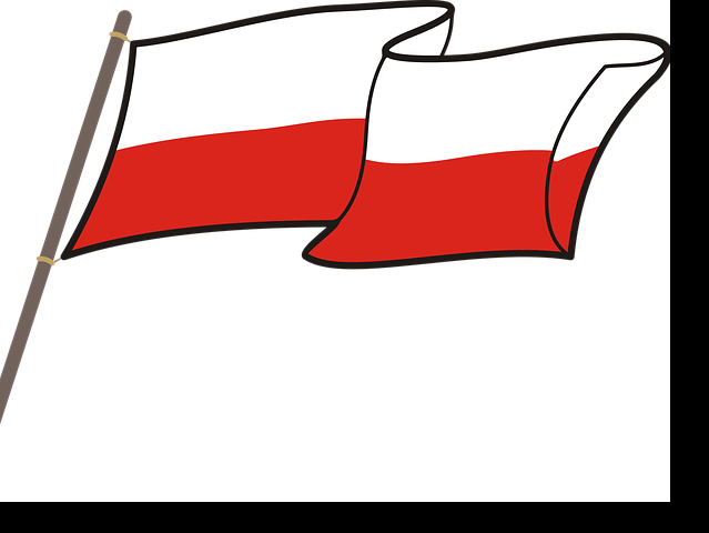 flaga Polski, grafika ze strony https://pixabay.com/pl/vectors/polska-flaga-flaga-flaga-polski-2266625/