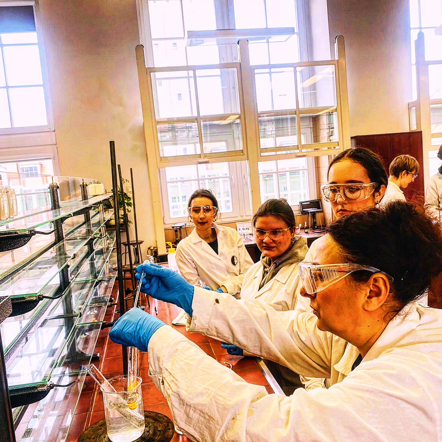 641630604 1533245835473704 6953563836517819064 n